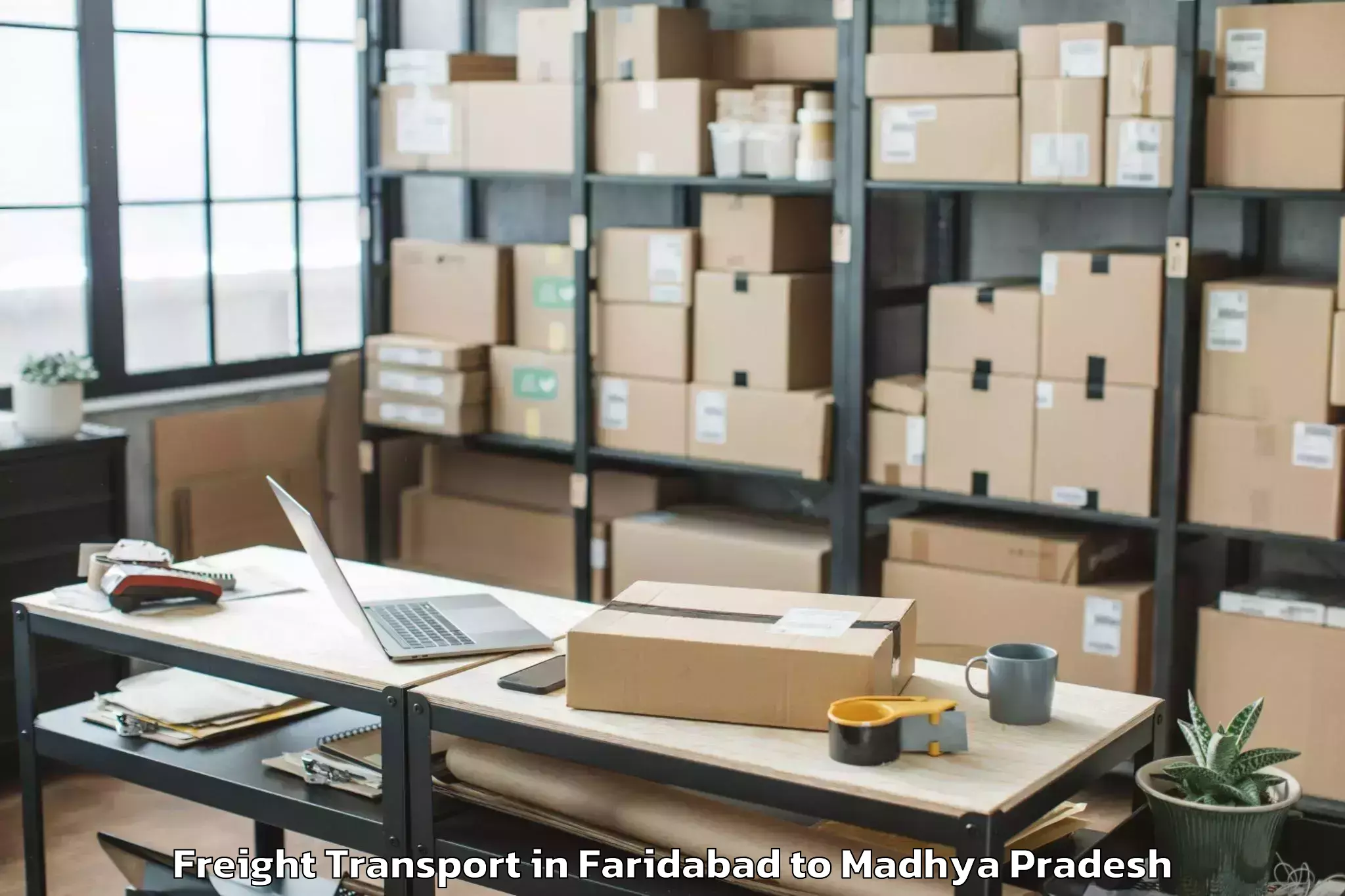 Get Faridabad to Guna Freight Transport